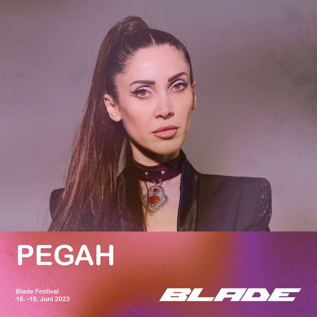 An artist's picture showing PEGAH.